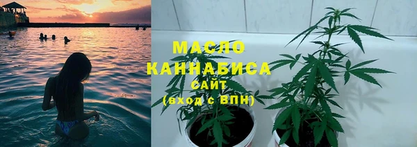 дживик Елабуга