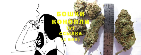дживик Елабуга