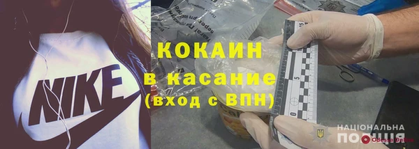 дживик Елабуга