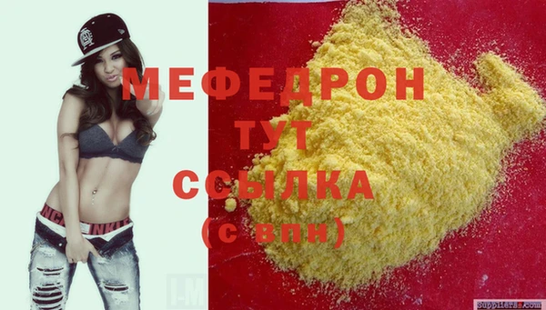 индика Ельня