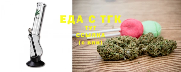 индика Ельня