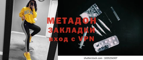 индика Ельня