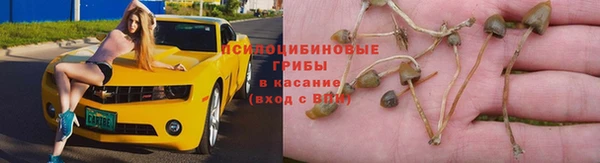 кокс Дмитриев