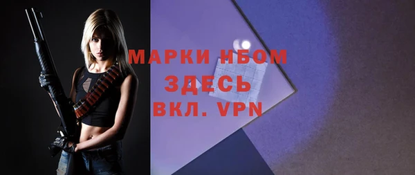 дживик Елабуга