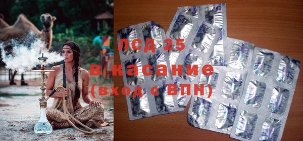 индика Ельня