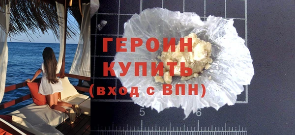 индика Ельня
