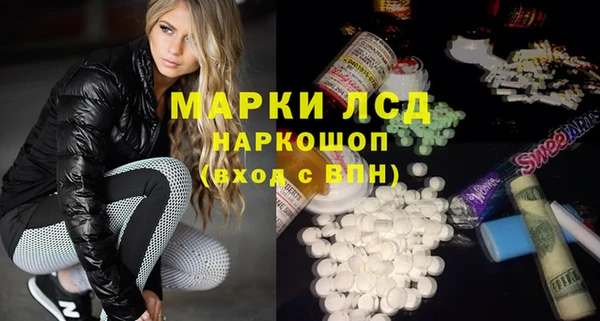 индика Ельня