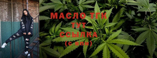 индика Ельня