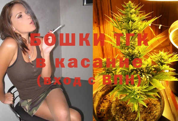 дживик Елабуга