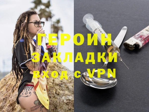 индика Ельня
