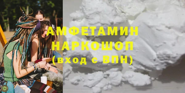 индика Ельня