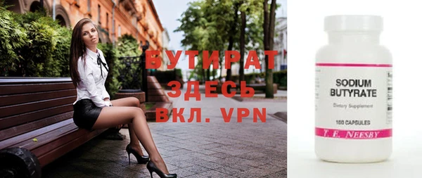индика Ельня