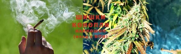 дживик Елабуга
